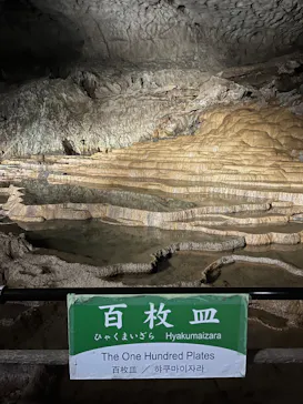 秋芳洞に投稿された画像（2026/3/18）