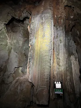 秋芳洞に投稿された画像（2026/3/18）