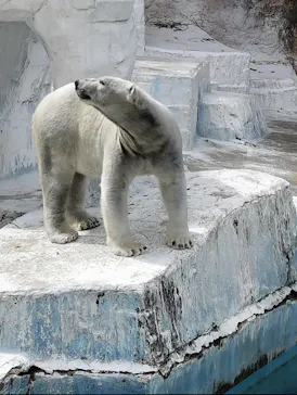 天王寺動物園に投稿された画像（2026/3/18）