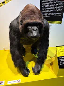 特別展「超危険生物展　科学で挑む生き物の本気」に投稿された画像（2026/3/18）