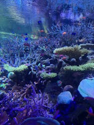 名古屋港水族館に投稿された画像（2026/3/18）