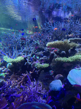 名古屋港水族館に投稿された画像（2026/3/18）