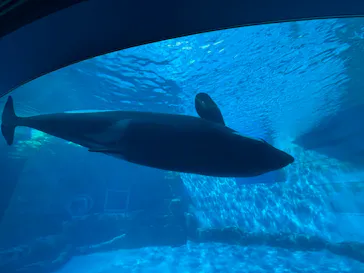 名古屋港水族館に投稿された画像（2026/3/18）