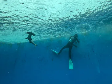 横浜・八景島シーパラダイスに投稿された画像（2026/3/18）