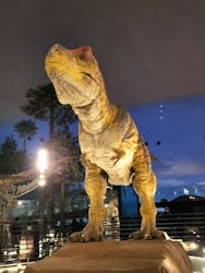 福井県立恐竜博物館に投稿された画像（2026/3/18）