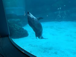 名古屋港水族館に投稿された画像（2026/3/18）