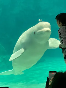 名古屋港水族館に投稿された画像（2026/3/18）