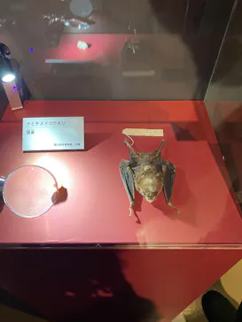 特別展「超危険生物展　科学で挑む生き物の本気」に投稿された画像（2026/3/18）