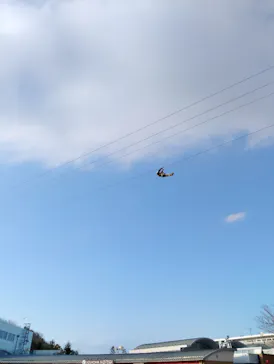 モビリティリゾートもてぎに投稿された画像（2026/3/18）