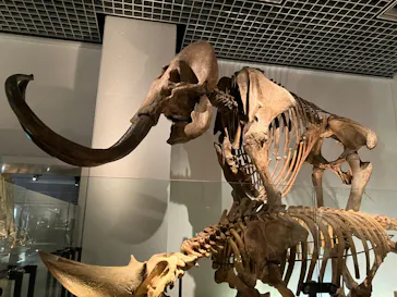 国立科学博物館に投稿された画像（2026/3/18）