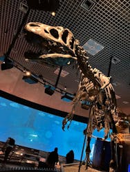 国立科学博物館に投稿された画像（2026/3/18）