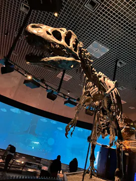 国立科学博物館に投稿された画像（2026/3/18）