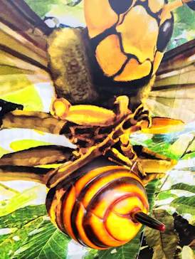 モビリティリゾートもてぎに投稿された画像（2026/3/18）