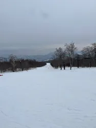 グランデコ・スノーリゾートに投稿された画像（2026/3/18）