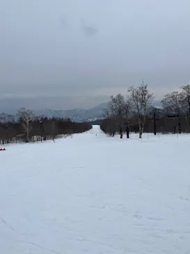 グランデコ・スノーリゾートに投稿された画像（2026/3/18）