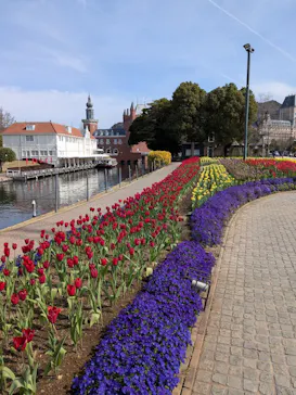 ハウステンボスに投稿された画像（2026/3/18）