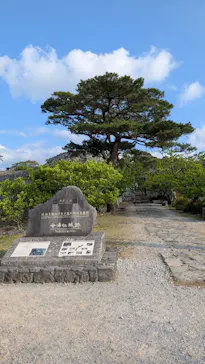 今帰仁城跡に投稿された画像（2026/3/18）