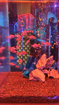 ひらかたパークに投稿された画像（2026/3/18）