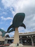 沖縄美ら海水族館に投稿された画像（2026/3/18）