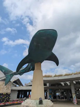 沖縄美ら海水族館に投稿された画像（2026/3/18）