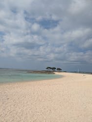 沖縄美ら海水族館に投稿された画像（2026/3/18）