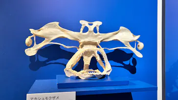 特別展「超危険生物展　科学で挑む生き物の本気」に投稿された画像（2026/3/18）