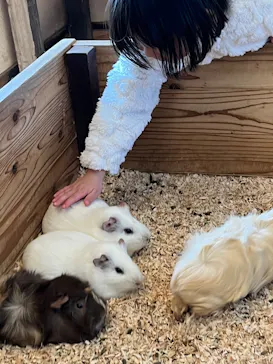 滋賀農業公園ブルーメの丘に投稿された画像（2026/3/18）