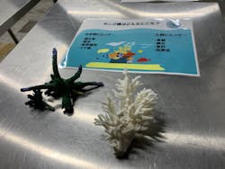 サンシャイン水族館に投稿された画像（2026/3/18）