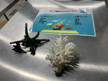 サンシャイン水族館に投稿された画像（2026/3/18）