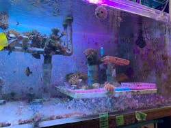 サンシャイン水族館に投稿された画像（2026/3/18）