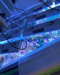 サンシャイン水族館に投稿された画像（2026/3/18）