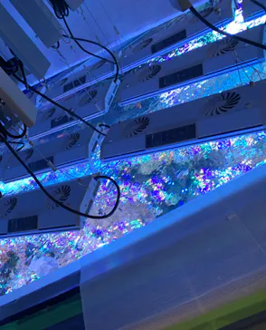 サンシャイン水族館に投稿された画像（2026/3/18）