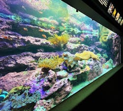 サンシャイン水族館に投稿された画像（2026/3/18）