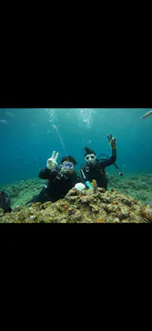 武藤潜水に投稿された画像（2026/3/19）