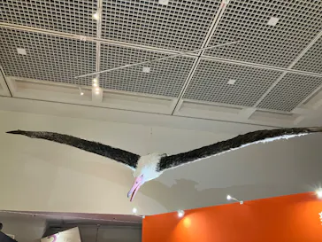 特別展「鳥 ～ゲノム解析が解き明かす新しい鳥類の系統～」に投稿された画像（2026/3/19）