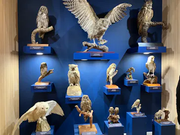 特別展「鳥 ～ゲノム解析が解き明かす新しい鳥類の系統～」に投稿された画像（2026/3/19）