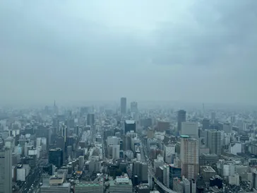 屋外展望台スカイプロムナードに投稿された画像（2026/3/19）