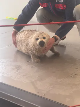 大分マリーンパレス水族館 「うみたまご」に投稿された画像（2026/3/19）