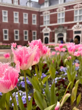 ハウステンボスに投稿された画像（2026/3/19）