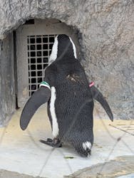 恩賜上野動物園に投稿された画像（2026/3/19）