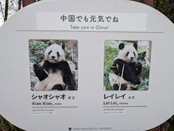 恩賜上野動物園に投稿された画像（2026/3/19）