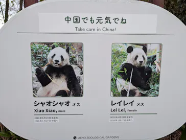 恩賜上野動物園に投稿された画像（2026/3/19）