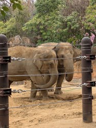恩賜上野動物園に投稿された画像（2026/3/19）