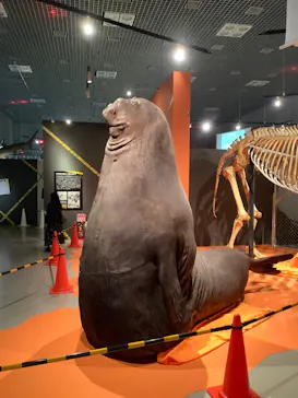 特別展「超危険生物展　科学で挑む生き物の本気」に投稿された画像（2026/3/19）