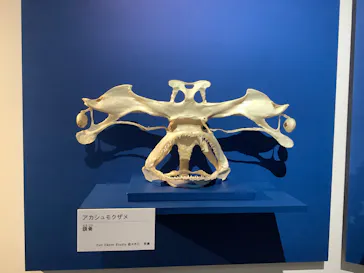 特別展「超危険生物展　科学で挑む生き物の本気」に投稿された画像（2026/3/19）