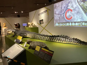 特別展「超危険生物展　科学で挑む生き物の本気」に投稿された画像（2026/3/19）