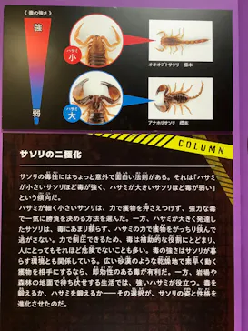 特別展「超危険生物展　科学で挑む生き物の本気」に投稿された画像（2026/3/19）