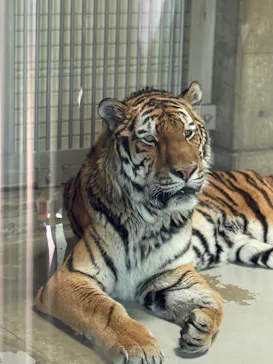 天王寺動物園に投稿された画像（2026/3/19）