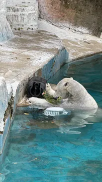 天王寺動物園に投稿された画像（2026/3/19）