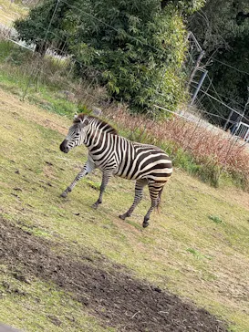 天王寺動物園に投稿された画像（2026/3/19）